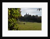 Autumnal image of the Royal Observatory Greenwich including, Flamsteed House, Peter Harrison Planetarium & Altazimuth building and the park by National Maritime Museum