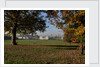 Autumnal image of the Queens House in Greenwich including views from in the park by National Maritime Museum
