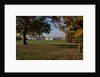 Autumnal image of the Queens House in Greenwich including views from in the park by National Maritime Museum