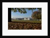 Autumnal image of the Queen's House in Greenwich including views from the park by National Maritime Museum