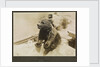 Photograph of the mascot bear cub 'Trotsky', on HMS 'Ajax' 1921. From an album relating to the naval career of Philip F. P. Blackwell, 1920-1922 by Philip F. P. Blackwell