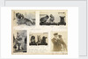 Cats and dogs 'Tzu, buff, Queenie and Gaby' July 1918, from an album relating to the career of Lt. Cdr. Herbert Allen Slade, RN, 1908-1918. by Lt. Cdr. Herbert Allen Slade
