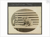 Our Australian 'Teddy'  koala, on the TSS 'Demosthenes' (1911) by John Rodolph Peronet Thompson