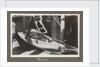 Service career of Lieutenant V. N. Surtees 1926-8 in HMS 'Emerald' (1920). 'Nelson' monkey in hammock, page 171 by Lieutenant V. N. Surtees