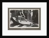 Service career of Lieutenant V. N. Surtees 1926-8 in HMS 'Emerald' (1920). 'Nelson' monkey in hammock, page 171 by Lieutenant V. N. Surtees