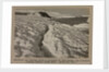 Weathered ice after blizzard at Cape Evans, and crevasse, looking towards Turks Head. by Herbert George Ponting