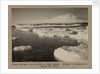 Young pancake ice forming at West Beach. Erebus in background. by Herbert George Ponting
