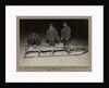 Dr. Wilson, Cherry-Garrard and Ford with a sea leopard on sledge by Herbert George Ponting