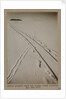 Adelie penguin track and sledge track crossing by Herbert George Ponting