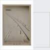 Adelie penguin track and sledge track crossing by Herbert George Ponting