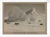 Church Berg and seals by Herbert George Ponting