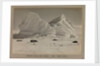 Church Berg and seals by Herbert George Ponting