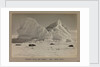 Church Berg and seals by Herbert George Ponting