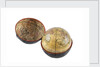Terrestrial and celestial pocket globe, in case by Unknown