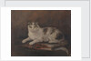 The cat of HMS 'Exeter' by Georgina Shaw Baker