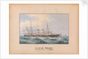 HMS Pearl Manoeuvres - 1893 by Unknown