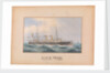 HMS Pearl Manoeuvres - 1893 by Unknown
