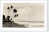 A landscape photograph of a Sri Lankan man looking out to sea. by Unknown