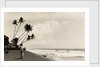 A landscape photograph of a Sri Lankan man looking out to sea. by Unknown