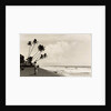 A landscape photograph of a Sri Lankan man looking out to sea. by Unknown