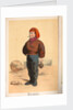 Souvenirs de Boulogne Sur Mer Book - Mousse by Unknown
