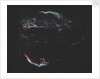 "AMAT Image; Cygnus Loop aka Veil Complex by Unknown