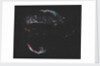 "AMAT Image; Cygnus Loop aka Veil Complex by Unknown