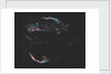 "AMAT Image; Cygnus Loop aka Veil Complex by Unknown
