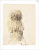 A dog of unconfirmed breed, shown standing on hind legs in a posture associated with begging by Unknown