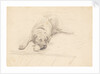 Dog lying with it's head on one side on a rug by Unknown