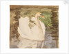 A swan with partly folded wings by Unknown