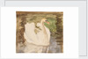 A swan with partly folded wings by Unknown