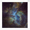 Eta Carina Nebula by Thomas Davis
