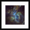 Eta Carina Nebula by Thomas Davis