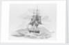 'The Rover' (?) stern on, at sea by unknown