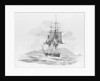 'The Rover' (?) stern on, at sea by unknown