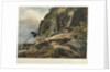 Picturesque views of the Diamond Rock: the passage upon the Rock, with the Mail-Coach by Joseph Constantine Stadler
