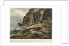 Picturesque views of the Diamond Rock: the passage upon the Rock, with the Mail-Coach by Joseph Constantine Stadler