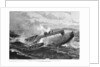 The rescue of the crew of the 'Cleopatra', at dawn in the Bay of Biscay by Unknown