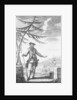 Captain Edward Teach, commonly known as Blackbeard by Thomas Nicholls