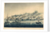 The Bombardment and Capture of St Jean D'Acre by Lt. J. F. Ware
