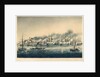 The Bombardment and Capture of St Jean D'Acre by Lt. J. F. Ware