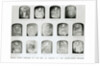 Officers who sailed in search of the North-West Passage with Sir John Franklin in 1845 by Baird