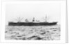 SS 'Gryfevale' portside view, circa 1929 by Unknown