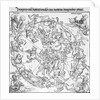 Pair of maps of the Northern and Southern Celestial Hemispheres by Albrecht Dürer