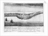 Battle between the English and Dutch fleets, 25 July 1666 by Wenceslaus Hollar