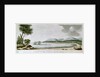 View of Adventure Bay, Van Dieman's Land, New Holland by William Webb Ellis