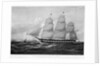United States Packet Ship New World 1404 tons register. Built at Boston, Mass. 1846 by Donald McKay by Samuel Walters