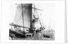 'Germanic deck' 1874 by Unknown