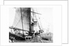 'Germanic deck' 1874 by Unknown